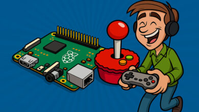 retropy raspbery